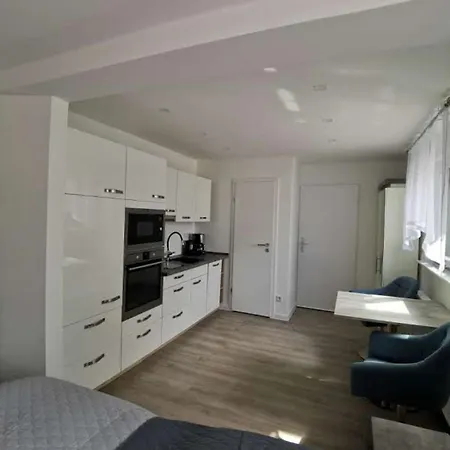 Apartment Bei Der Palme Mit Sauna Moeglichkeit Düsseldorf Eksteriør billede